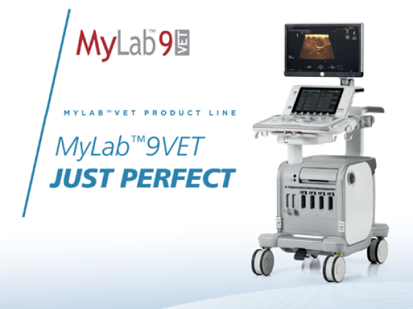 MyLabX9Vet1
