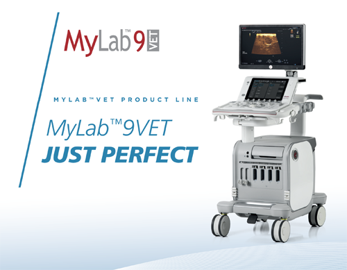MyLabX9Vet1
