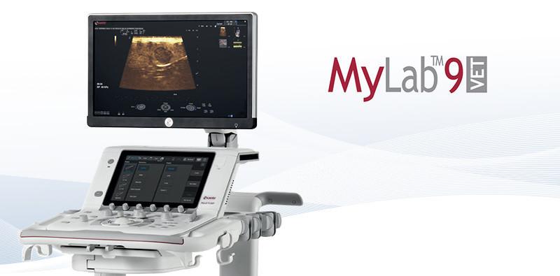 MyLabX9Vet1