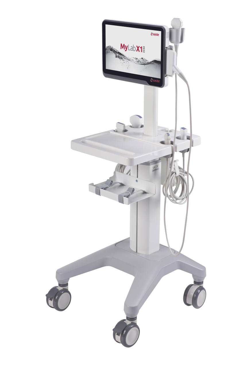 MyLabX1VET3