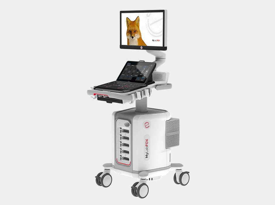 MyLabFox2